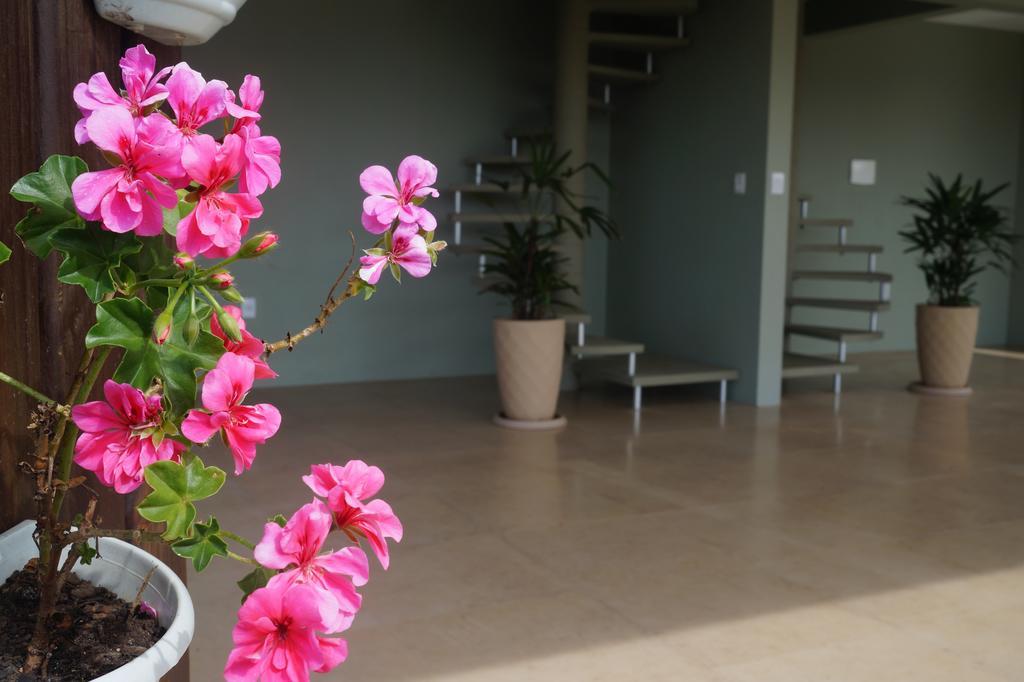 Pdr Suites Praia do Rosa Extérieur photo